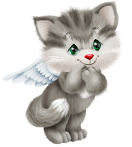 grey angel kitty